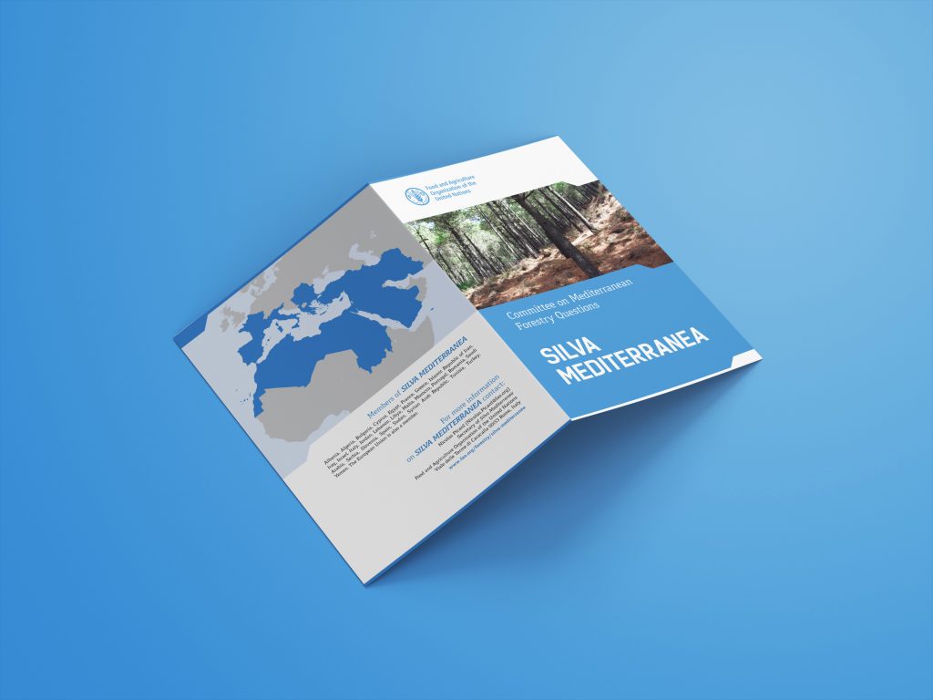 Importancia de maquetación para Google Académico