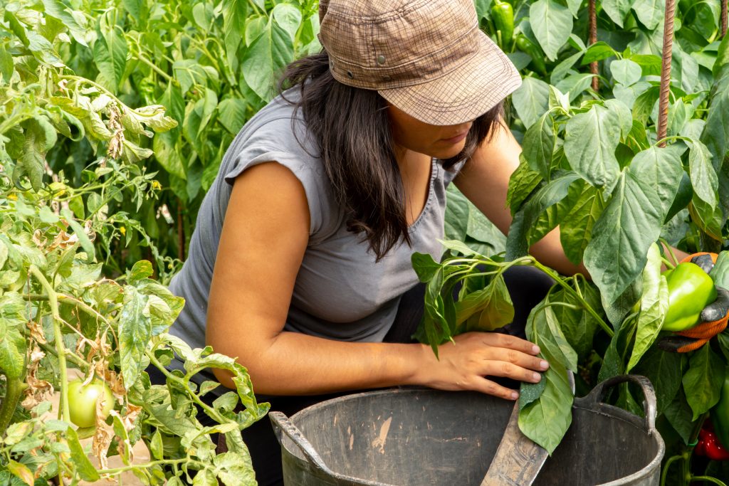 Sesión con fotos gratuitas en Adobe Stock