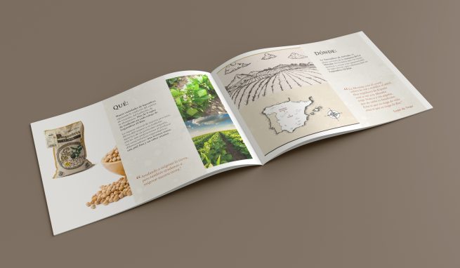 diseño de catálogo corporativo